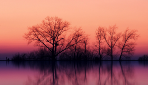 伯恩茅斯大胜对手，继续向前冲